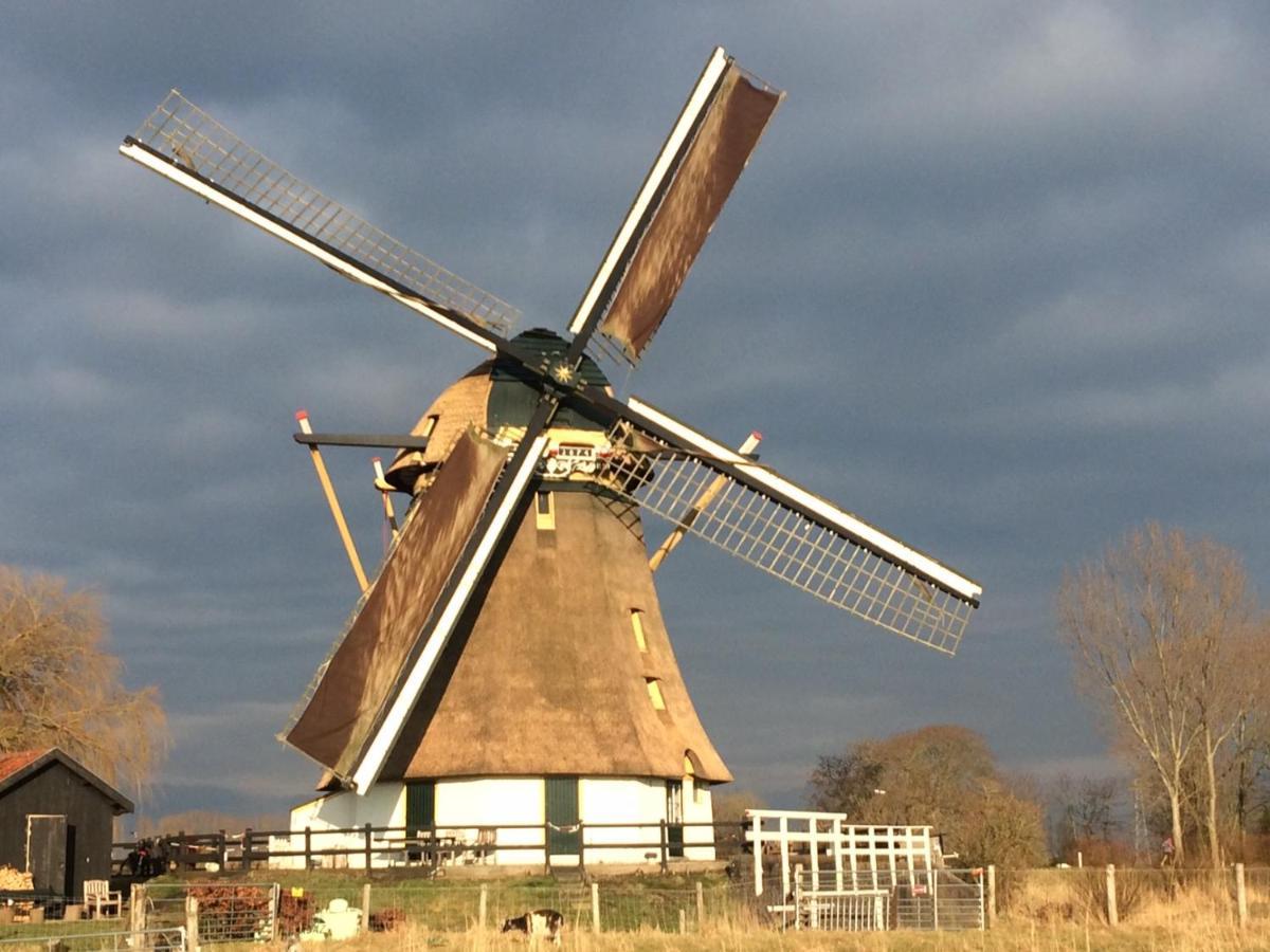 Mondriaanmolen, A Real Windmill Close To Amsterdam Abcoude Exteriör bild