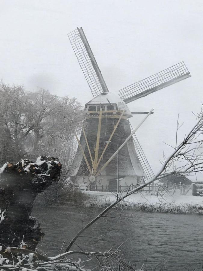 Mondriaanmolen, A Real Windmill Close To Amsterdam Abcoude Exteriör bild